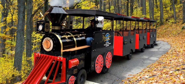 Trackless Train